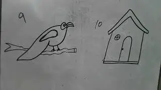 Draw step by step Peacock and house from numbers 9 and 10 for beginner