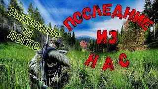 Dayz. Последние из нас. Отдыхаем на лайте
