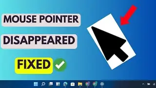 FIXED! - Mouse Cursor Disappears in Windows 11/10 - Easy Guide