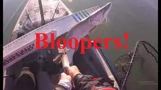 Bloopers and the story of Wilson the wandering hawg trough