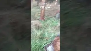 Нахожусь 231 день😐