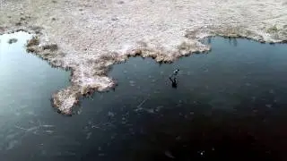 BLADEE - oxygen - music video -  on ice