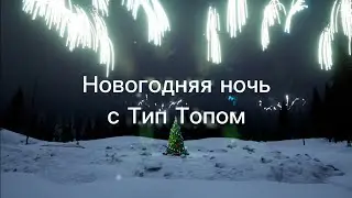 НОВОГОДНЯЯ НОЧЬ С ТИП ТОПОМ 2024 Встречаем 2025!