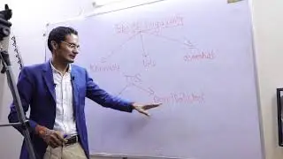 Type of Cavity in Complex Analysis