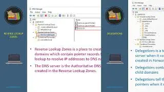 2  Windows DNS Functions