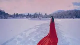 Paul Mauriat - Snow Desert