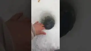 пожалуйста отпускайте рыбу если она вам не нужна.  
