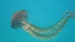30 seconds