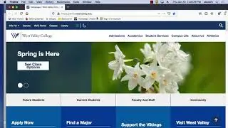 intro to word