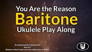 You are the Reason Baritone Ukulele Play Along