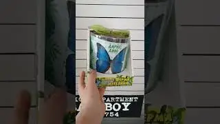 домашня ферма метеликів (бабочкарій) від компанії "Даруй Диво"