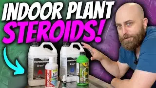 My Nutrient Solution Defends Against Pests & Kills Fungus Gnats! | Simple Hydroponics Fertiliser Mix