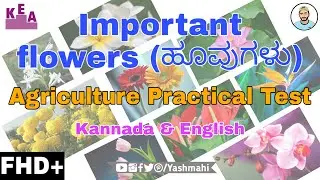 FLOWERS (ಹೂವುಗಳು) | Agriculture Practical Exam | Kannada & English | KCET Practical Exam | YM