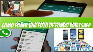 Como poner una imagen de fondo en whatsapp