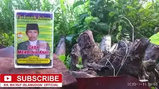 CARA MENDIDIK ANAK - KH. MA'RUF ISLAMUDDIN | NADA & DAKWAH