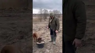 Кормлю мужика )