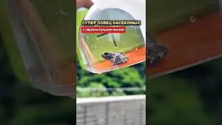 Супер ловец насекомых с увеличительной линзой. Сохрани и подпишись! 