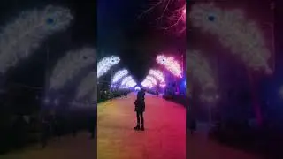 🪄✨