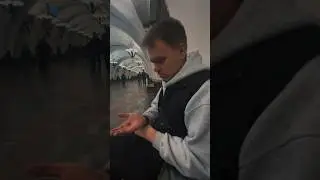 Рэмми #музыка #shortsforyou #музика #music #love #топ #tiktok #песня