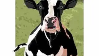 Desabafo de Uma Vaca