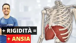 La contrattura del DIAFRAMMA può alimentare l'ANSIA: ecco cosa fare!