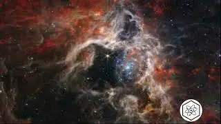 GIANT SPACE TARANTULA  CAUGHT BY NASA WEBB TELESCOPE