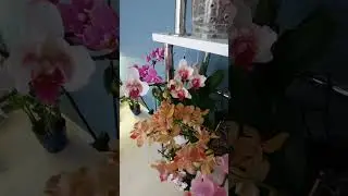 У кого так же? Меня поймут )