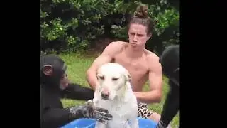 юмор дня