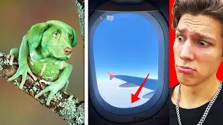 Top 10 Facts You Didn't Know About... (COOL)