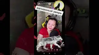 я пою для вас  "Загнанный зверь" Инна Вальтер
