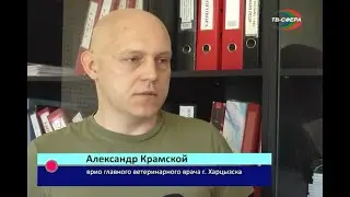 Выявлен вирус бешенства