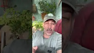 מעל 100 נרצחים בחברה הערביתמתחילת השנה 😡
