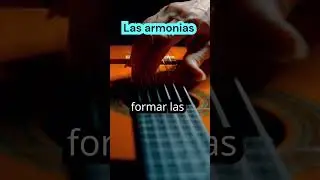 Las armonias #clasesmusica #aprendermúsica #teoriamusical