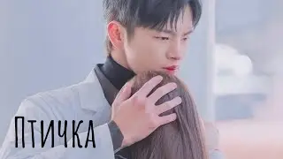 collab { Elegant } • ты к нему как птичка