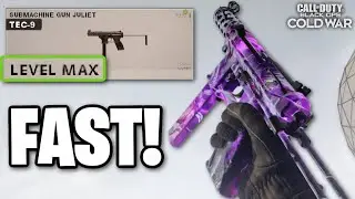 FASTEST Way to Level Up Guns in Cold War! (Multiplayer vs Zombies)