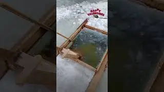 Баня «Монако» остров Русский, Владивосток тел. +79532145759
