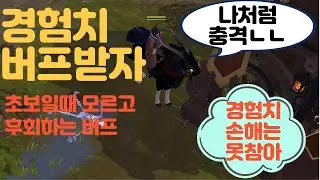 알비온] 초보필수 경험치버프 6% 추가,  특수 탈 것은 보너스