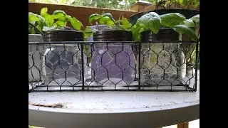 Beginning our Balcony Garden with Tour!