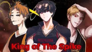 King of The Spike Volleyball