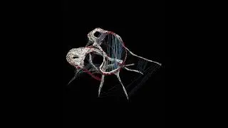 #render #architecture #grasshopper #rhino #parametricform