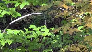 10-9-22 Public Bucks