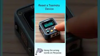 Reset Tasmota Device, without throwing it out the Window