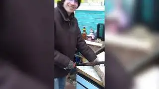 заготавливаю брёвна на зиму