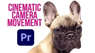 7 Tips For Better Camera Movements Like Pan & Zoom / Ken Burns In Premiere Pro
