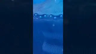 Battle of the Sea Colossi | The Bloop vs. The Great Majá