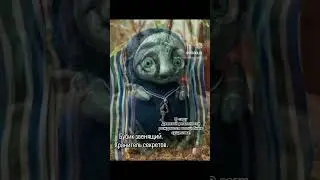 Бубик звенящий ищет дом!