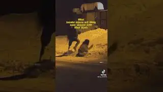 COUPLE ENJOYING STATUS |TIK TOK|