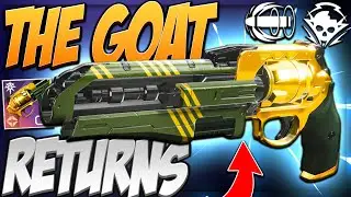 THE PALINDROME IS AWESOME (PvE God Roll) | Destiny 2 Hersey