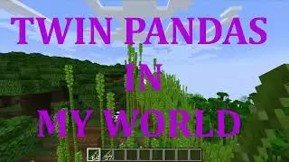 TWIN PANDA IN MY JUNGLE BIOME