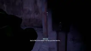 Are you some kind of pervert? - Fallout 4 (Modded)